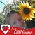 Claire Cools's profile image