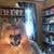 Lisa Colson's profile image