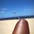 Chaitra Hargrove's profile image