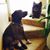 David Munroe Lentz's profile image