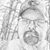 Scott Bell's profile image