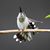 Karen Colvin Hatcher's profile image
