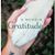 Laura Steenrod's profile image