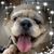 Margarita Calata Ferrell's profile image