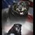 Troy Kechely's profile image