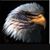 Kevin Thomas's profile image