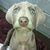 Kathie Fritzen's profile image