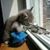 Ed Towle's profile image