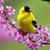 Jane Cook's profile image