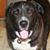 Carole Zalar's profile image
