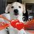 Billy Holliman's profile image