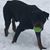 Debbie Earnest's profile image