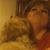 Rhonda Murray's profile image