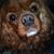 Kelly Breidenstein's profile image