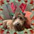 Jackie Lefebvre's profile image