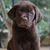 Jil French's profile image