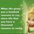 Sheila Williamson Garcia's profile image