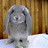 maria leah's profile image