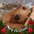 Gail Mcleod's profile image
