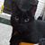 Sally M. Wagner's profile image