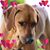 Evie Heins's profile image