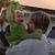 Judy Carlander's profile image