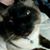 Lorri Webb Sanderson's profile image