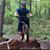 John Stan-vicius's profile image