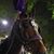 Susan M Scully's profile image