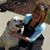 Jennifer Jacobs's profile image