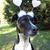 Kathy Lebs's profile image