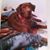 Jim Chafin's profile image