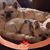 Terri Smith's profile image