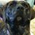 Collette Herlofson's profile image