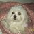 Linda Cooper's profile image