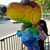 Pattie Castillo's profile image