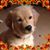 Bill Lysiak's profile image