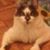 Lisa Kester's profile image