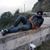 Surjeet Bassan's profile image