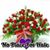 Claudia Medeiros's profile image