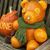 Kelley Hackney's profile image