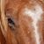 Lynda Harris's profile image