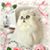 Joane Wingfield's profile image
