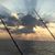 Linda Fisher's profile image