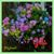 Deborah Bates's profile image