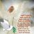 LuAnn LaBonte Norris's profile image
