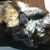 Deb Abrahamson Wells's profile image