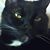 Tina Sieber Hummel's profile image