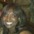 Tiffany Jackson's profile image