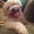 William J Warke's profile image